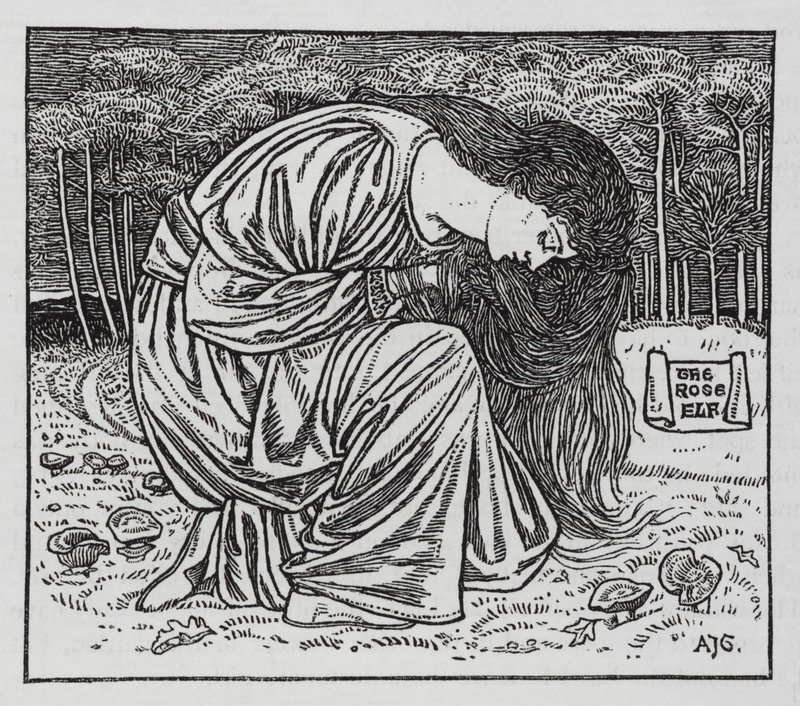 Hans Christian Andersen: Rosenalven (litho) av Arthur Joseph Gaskin