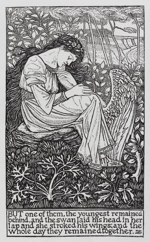 HC Andersen: The Wild Swans (litho) av Arthur Joseph Gaskin