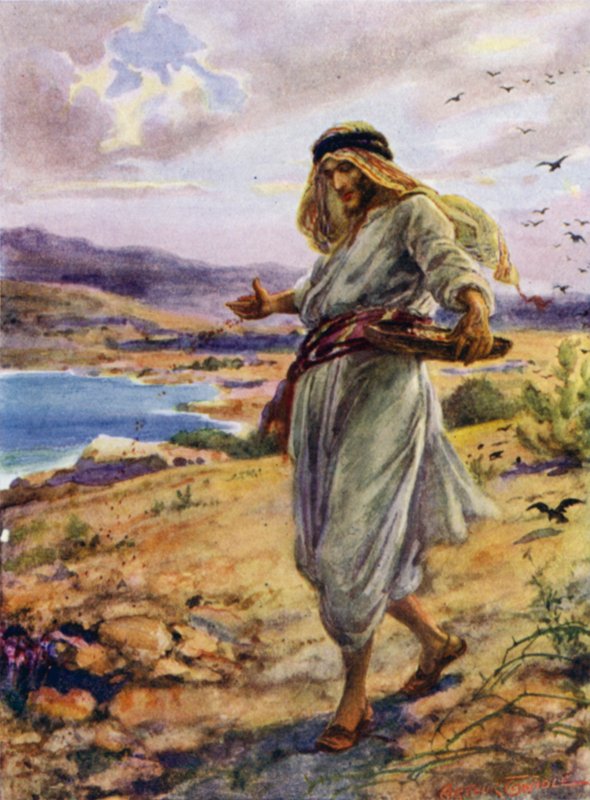 Såmannen (farge litho) av Arthur Twidle
