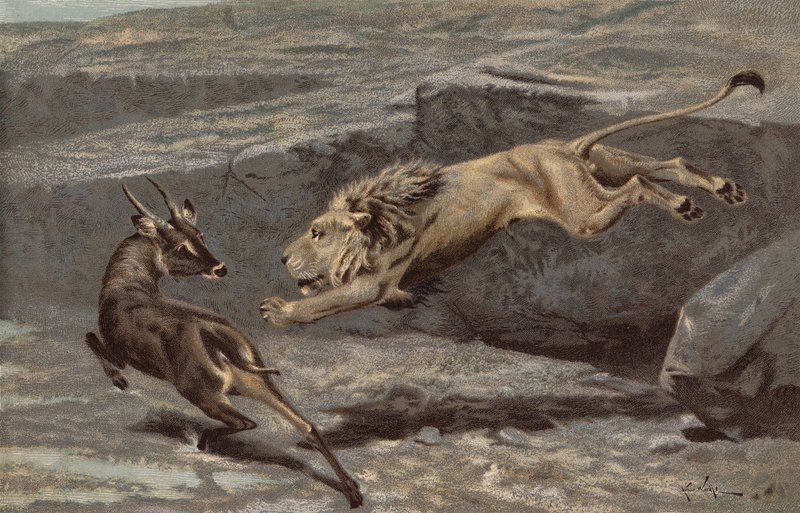  av Arthur Wardle