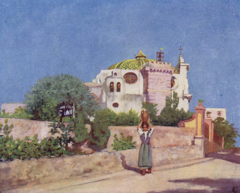  av Augustine Fitzgerald