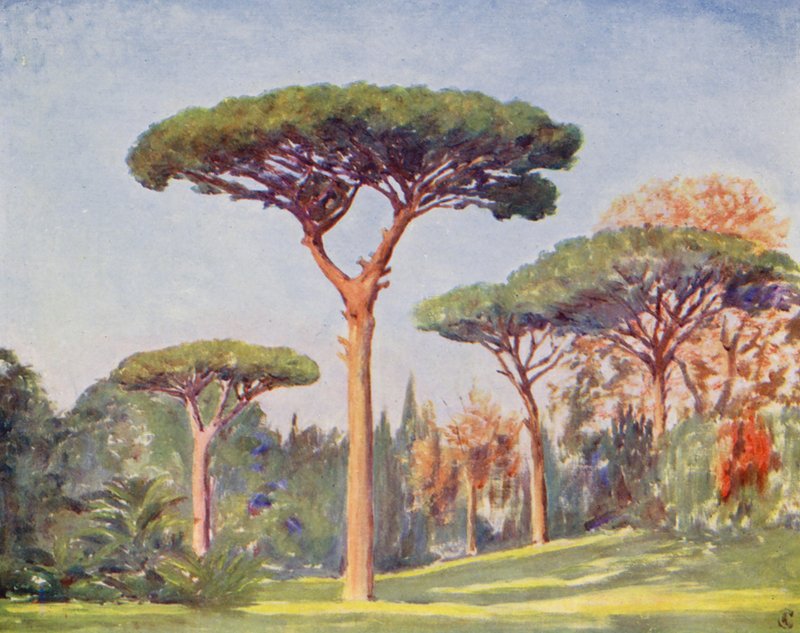  av Augustine Fitzgerald