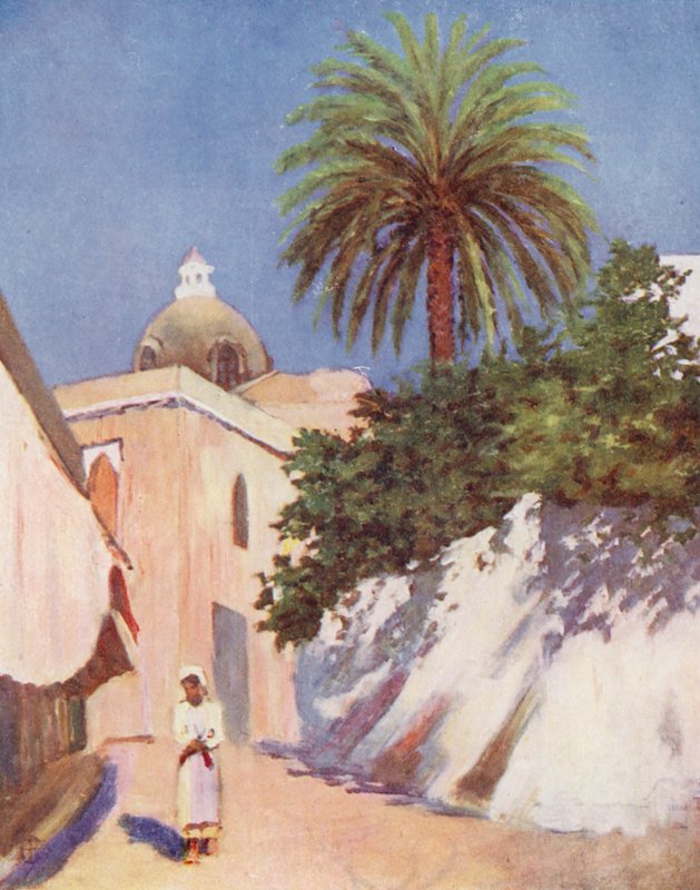 Street, Capri (farge litho) av Augustine Fitzgerald