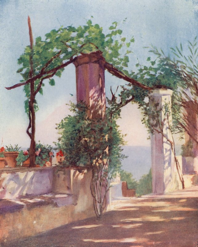  av Augustine Fitzgerald