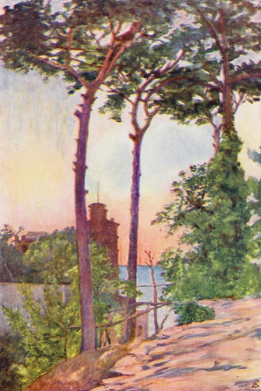  av Augustine Fitzgerald