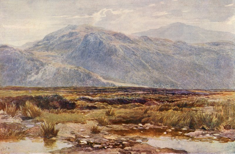  av Augustus Watford Weedon