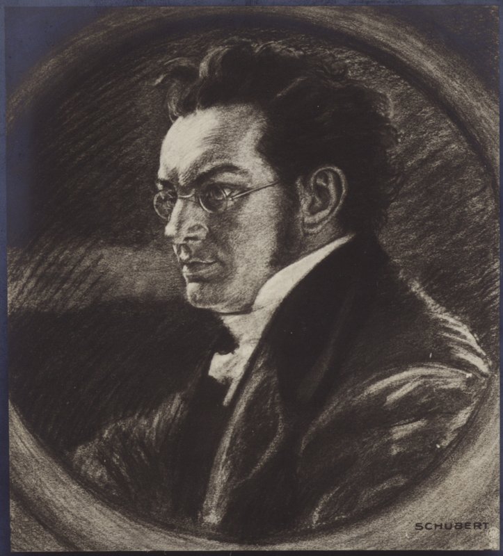 Portrett av Franz Schubert av Austrian School