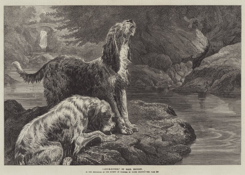 Otter-hunder av Basil Bradley