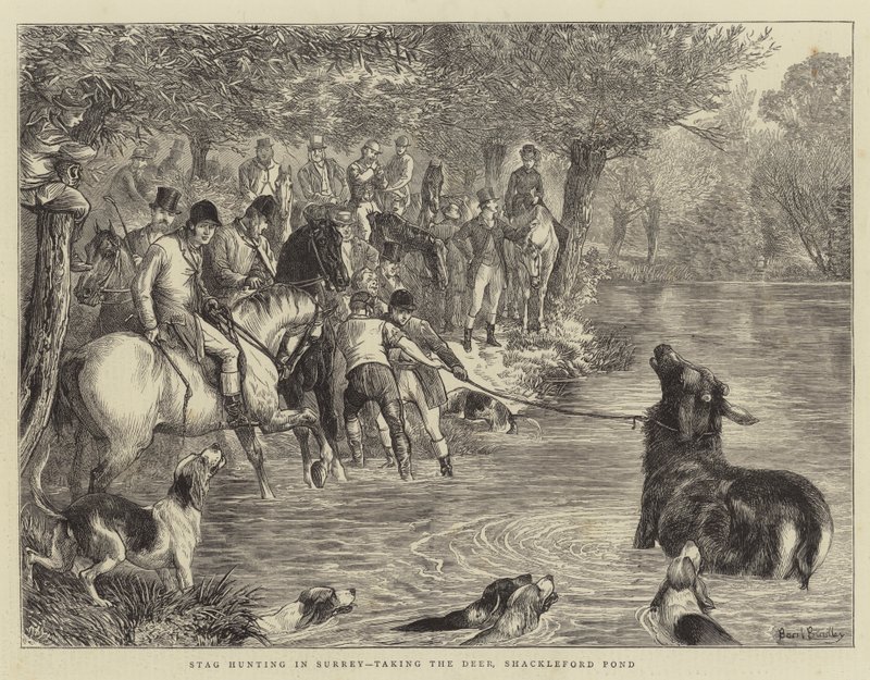 Stag Hunting i Surrey, tar Deer, Shackleford Pond av Basil Bradley