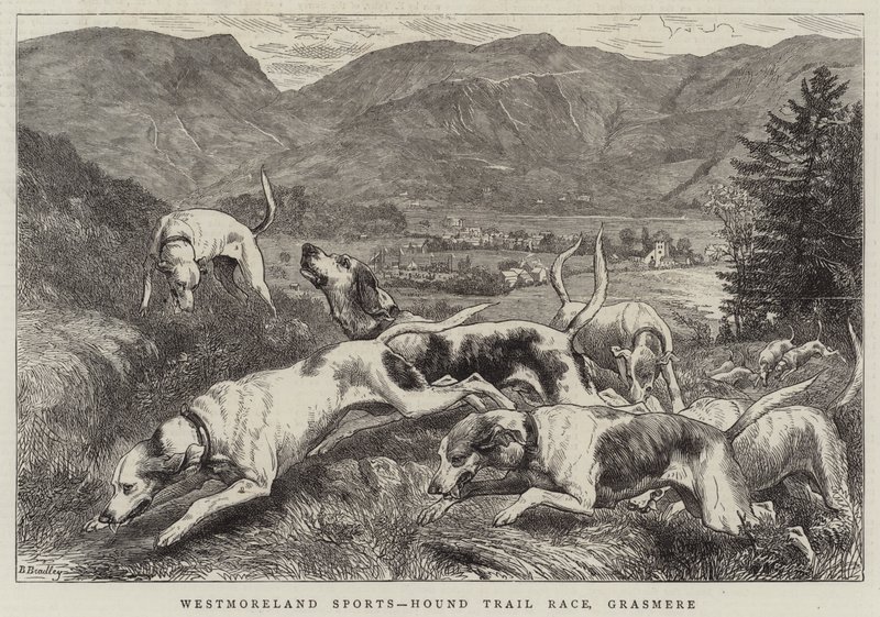 Westmoreland Sports, Hound Trial Race, Grasmere av Basil Bradley