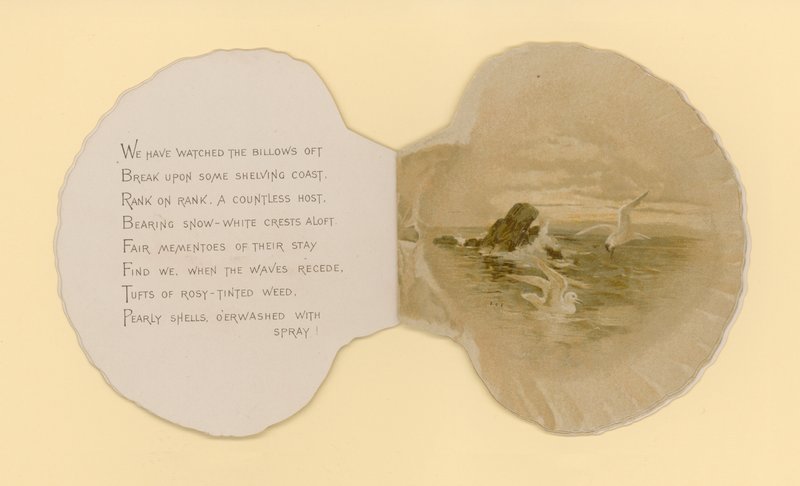 Illustrasjon for hefte med tittelen Sea Shells (color litho) av Benjamin D. Sigmund