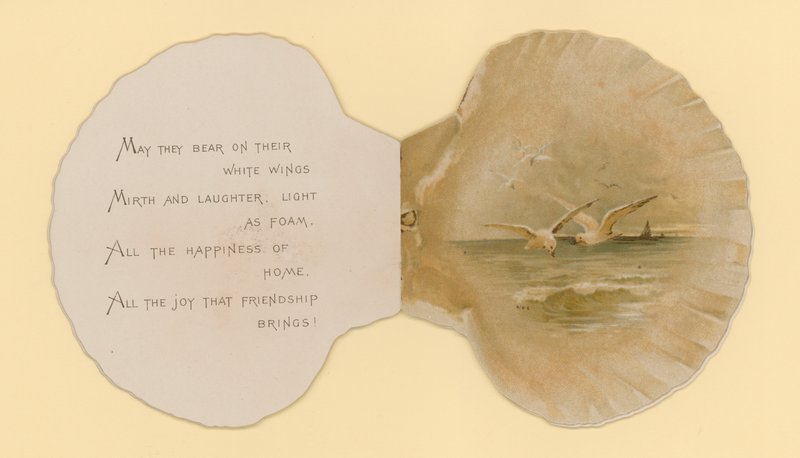 Illustrasjon for hefte med tittelen Sea Shells (color litho) av Benjamin D. Sigmund