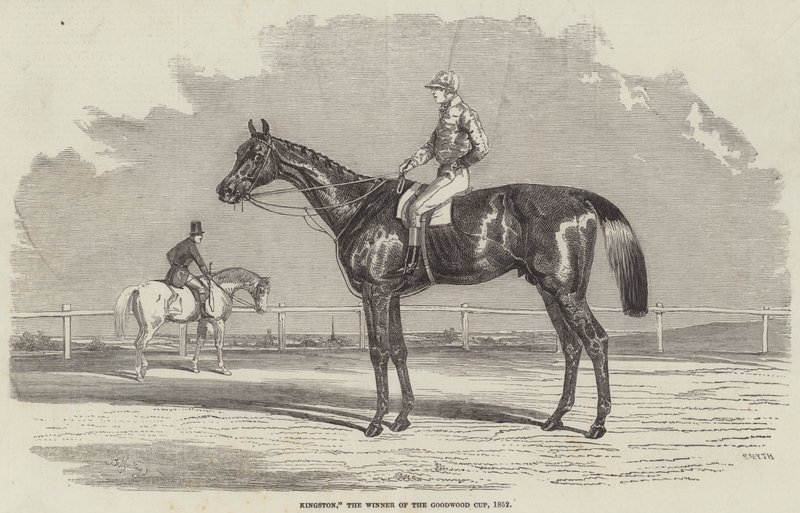 Kingston, vinneren av Goodwood Cup, 1852 av Benjamin Herring