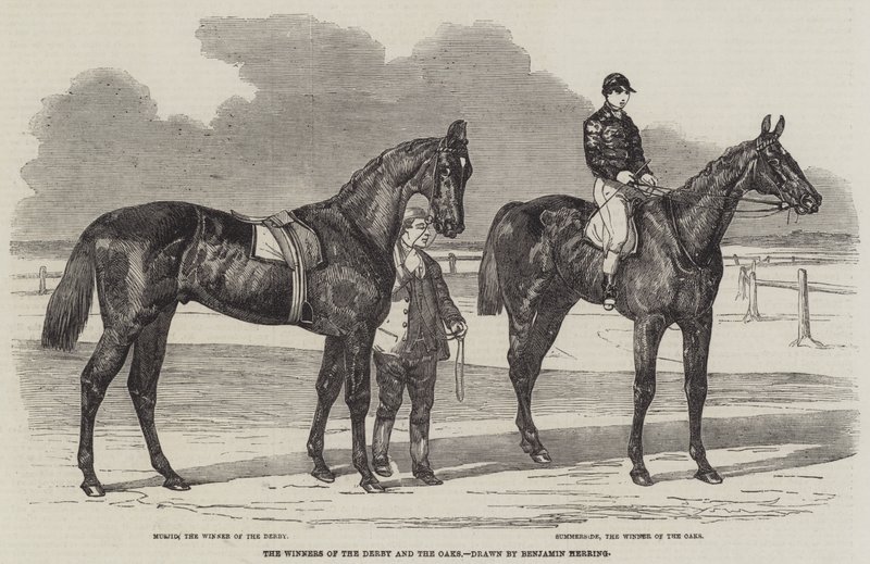 Vinnerne av Derby og Oaks av Benjamin Herring