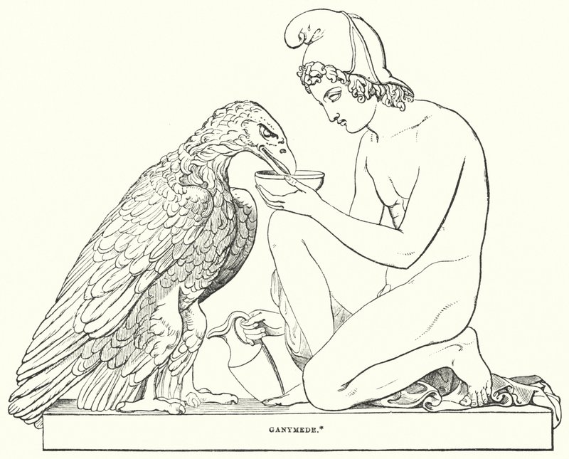 Ganymedes av Bertel after Thorvaldsen