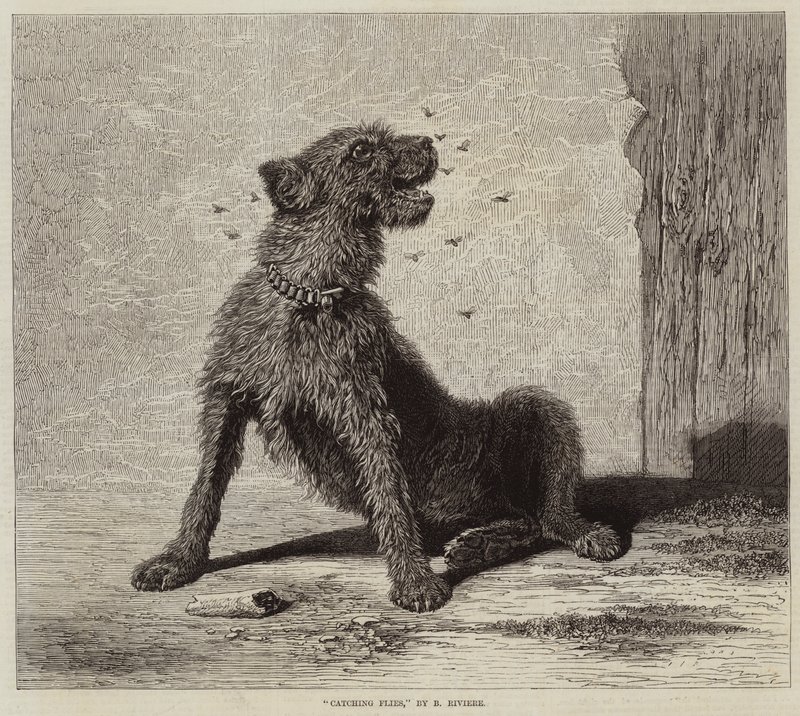 Å fange fluer av Briton Riviere