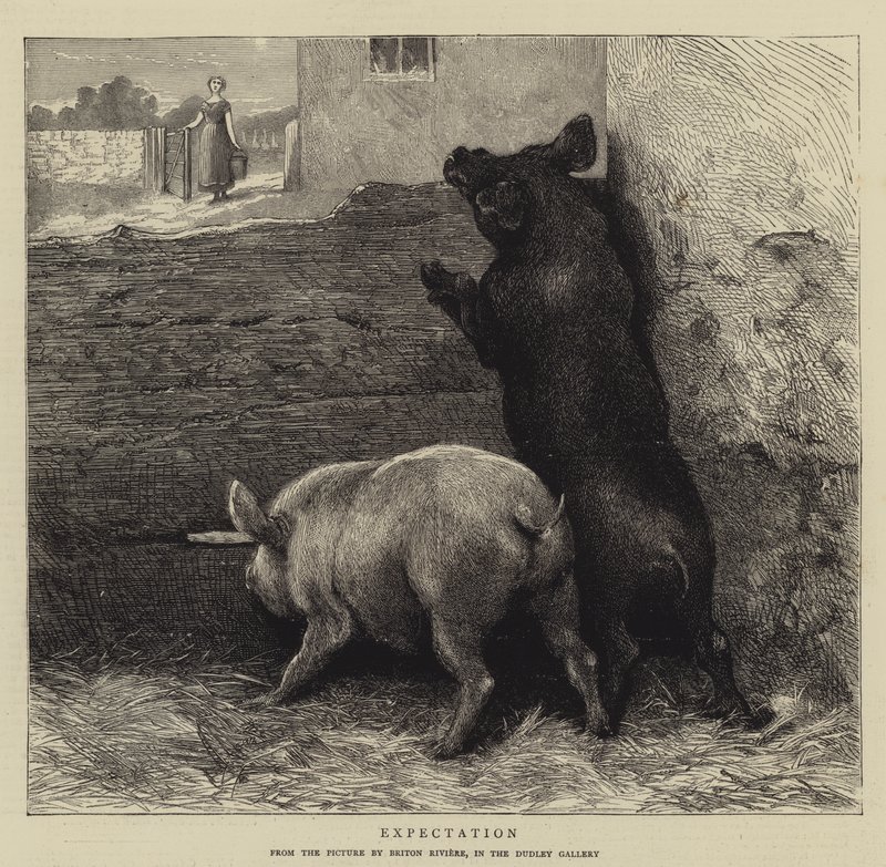 Forventning av Briton Riviere