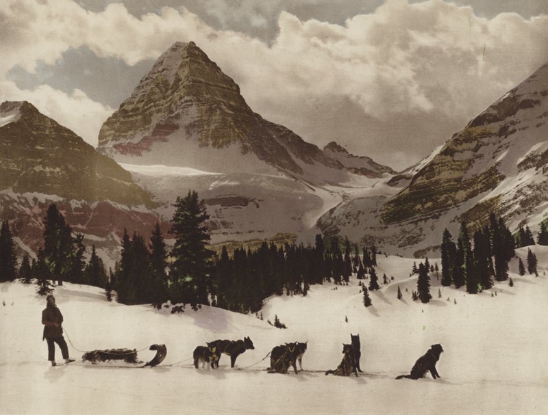 Mount Assiniboine (fargebilde) av Byron Hill Harmon
