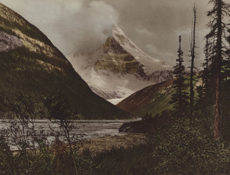 Mount Columbia (fargebilde) av Byron Hill Harmon