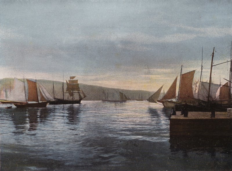 En tåkete morgen i havnen, St. John#39;s, Newfoundland (fargebilde) av Canadian Photographer