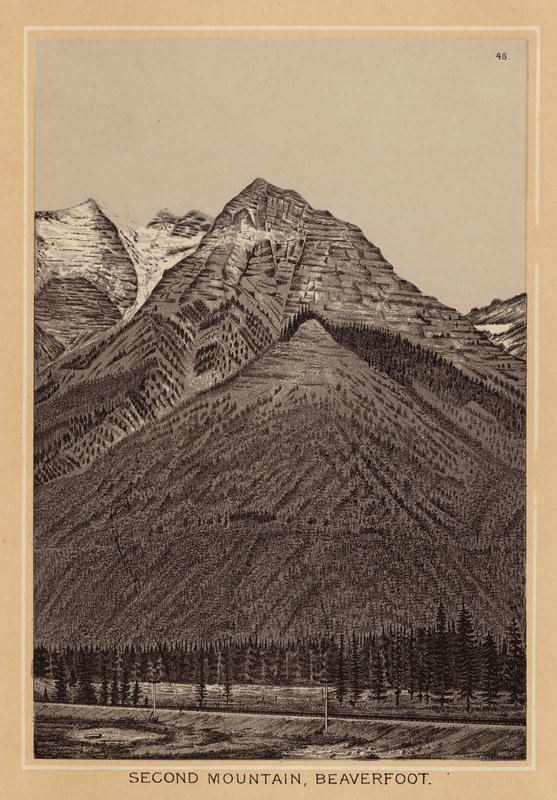  av Canadian School