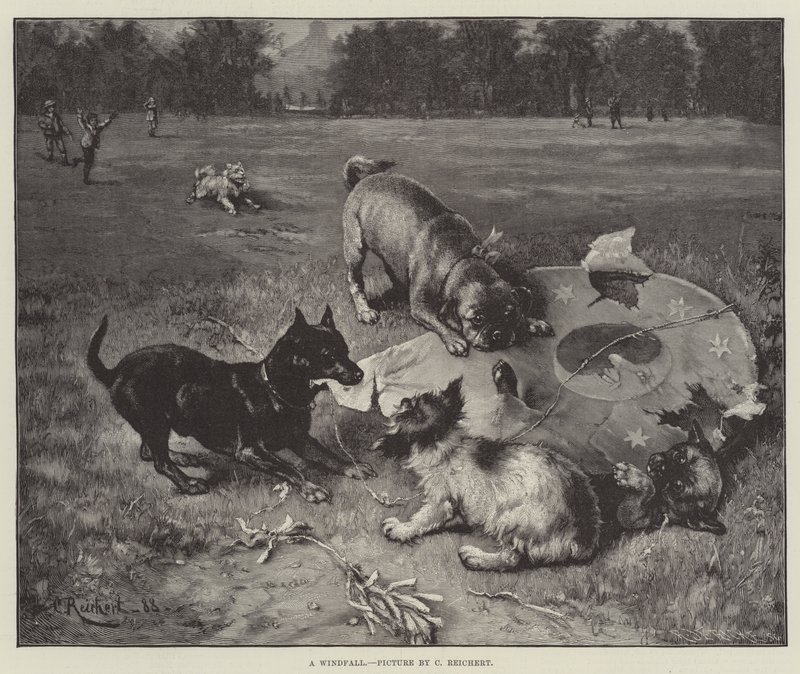 En vindfall av Carl Reichert