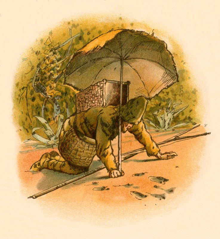 Robinson Crusoe ser fotavtrykk av Carl Marr
