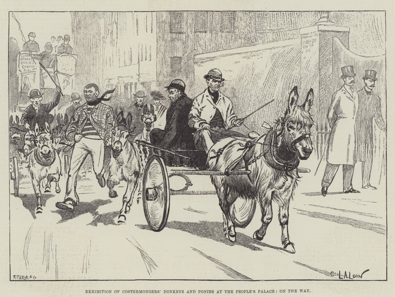 Utstilling av Costermongers 'esler og ponnier på Folkets palass, på vei av Cecil Charles Windsor Aldin