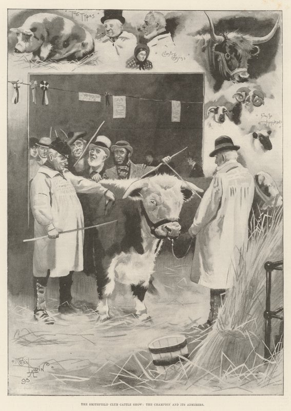 Smithfield Club Cattle Show, Mesteren og dens beundrere av Cecil Charles Windsor Aldin