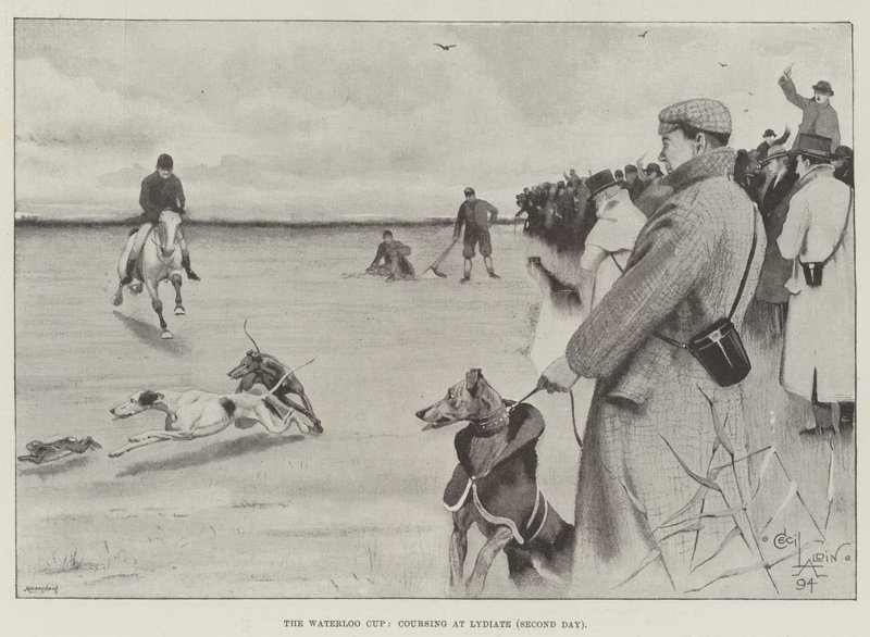 Waterloo Cup, kurs på Lydiate, andre dag av Cecil Charles Windsor Aldin