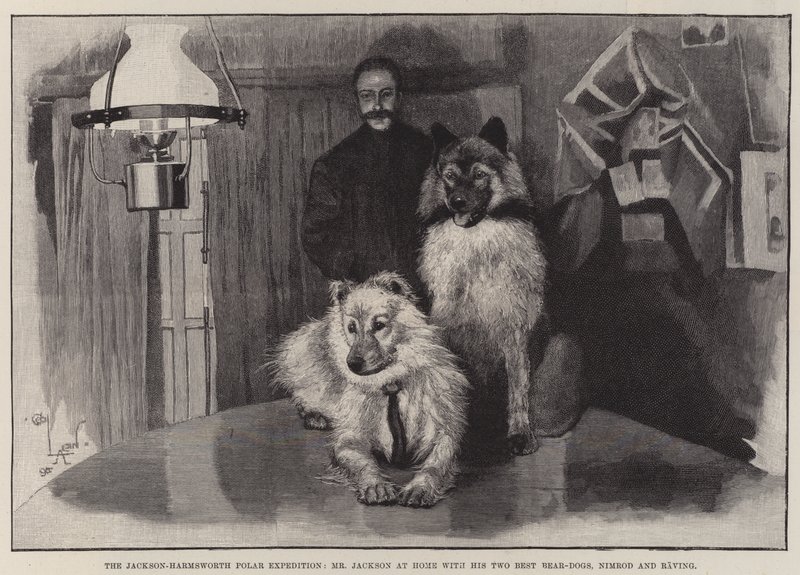 Jackson-Harmsworth polarekspedisjon, Mr Jackson hjemme med sine to beste bjørnehunder, Nimrod og Raving av Cecil Charles Windsor Aldin