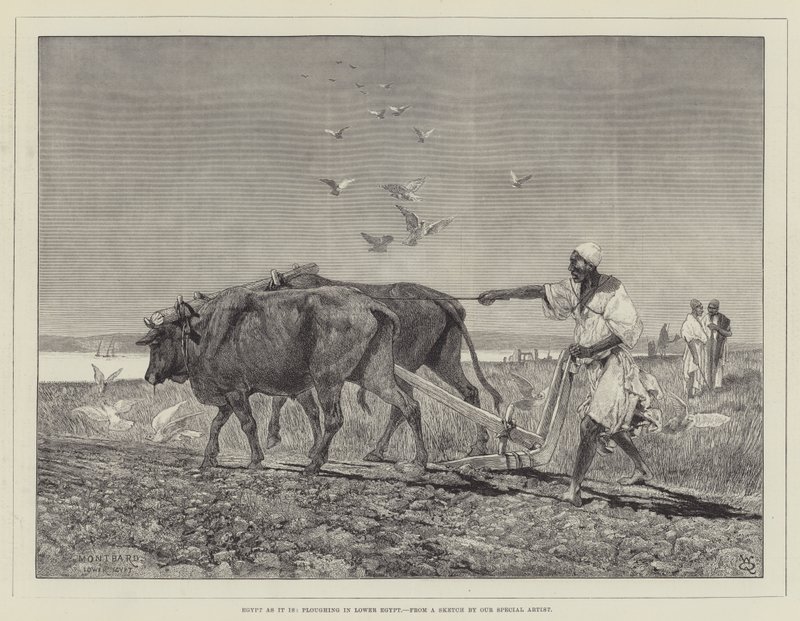 Egypt som det er, pløyer i Nedre Egypt av Charles Auguste Loye