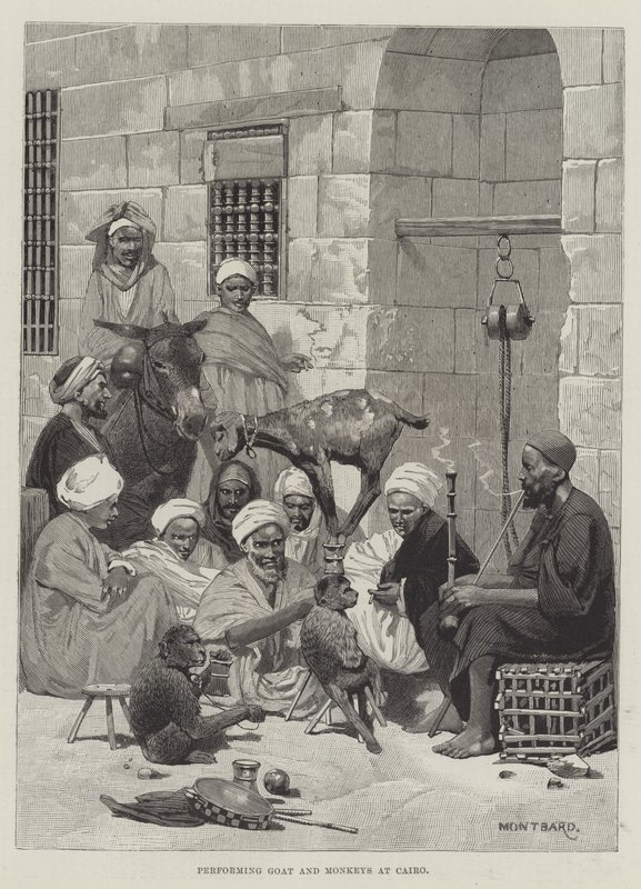 Utfører Goat and Monkeys i Kairo av Charles Auguste Loye