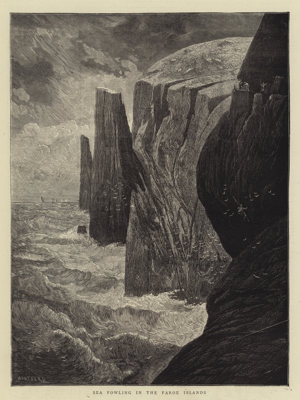 Havfugl på Færøyene av Charles Auguste Loye