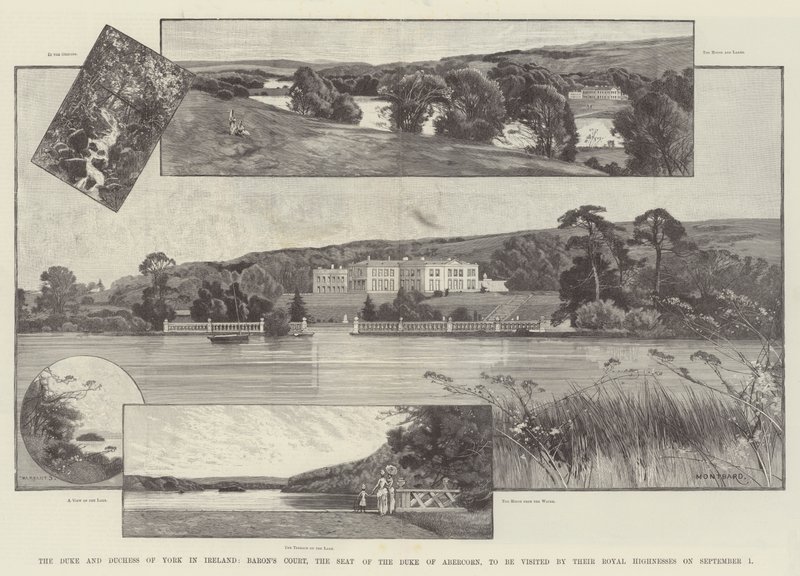 Hertugen og hertuginnen av York i Irland, Baron