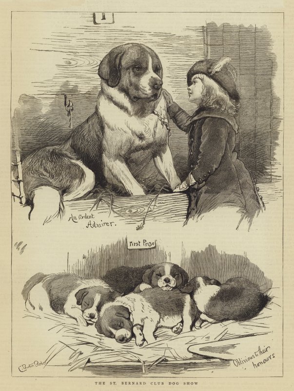 St Bernard Club Hundeutstilling av Charles Burton