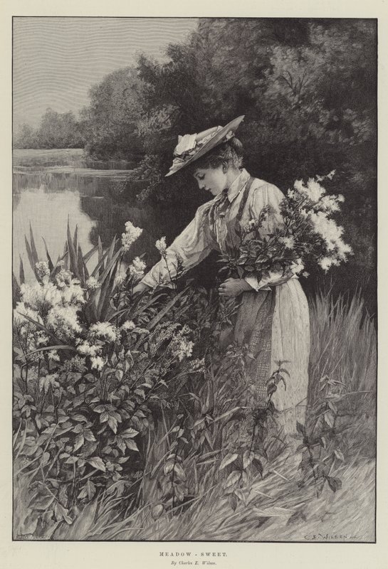 Eng-Søt av Charles Edward Wilson