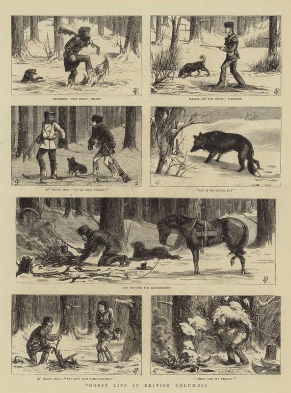 Skogliv i British Columbia av Charles Edwin Fripp