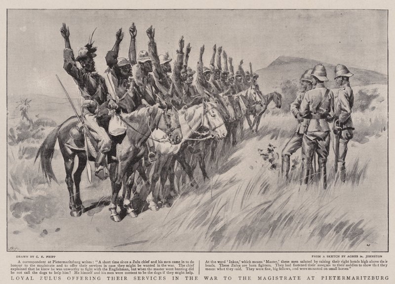 Lojale zuluer tilbyr sine tjenester i krigen til sorenskriveren i Pietermaritzburg av Charles Edwin Fripp