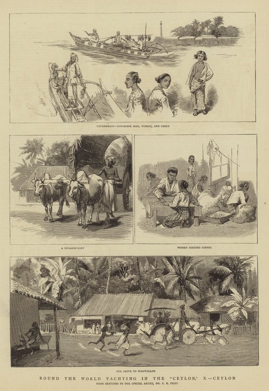 Jorden rundt Yachting i Ceylon, X, Ceylon av Charles Edwin Fripp