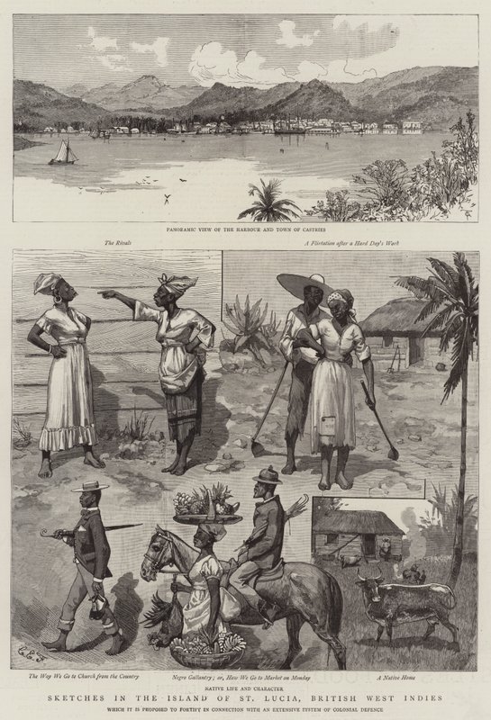 Skisser på øya St Lucia, Britisk Vestindia av Charles Edwin Fripp