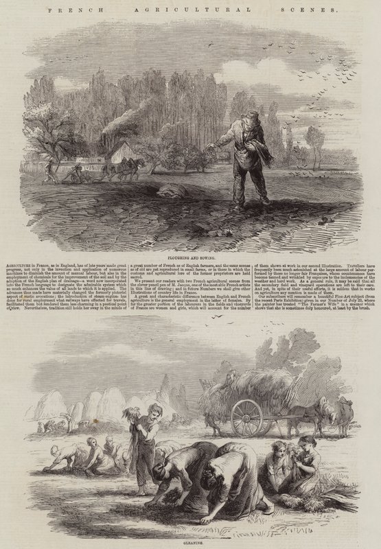 Franske landbruksscener av Charles Emile Jacque