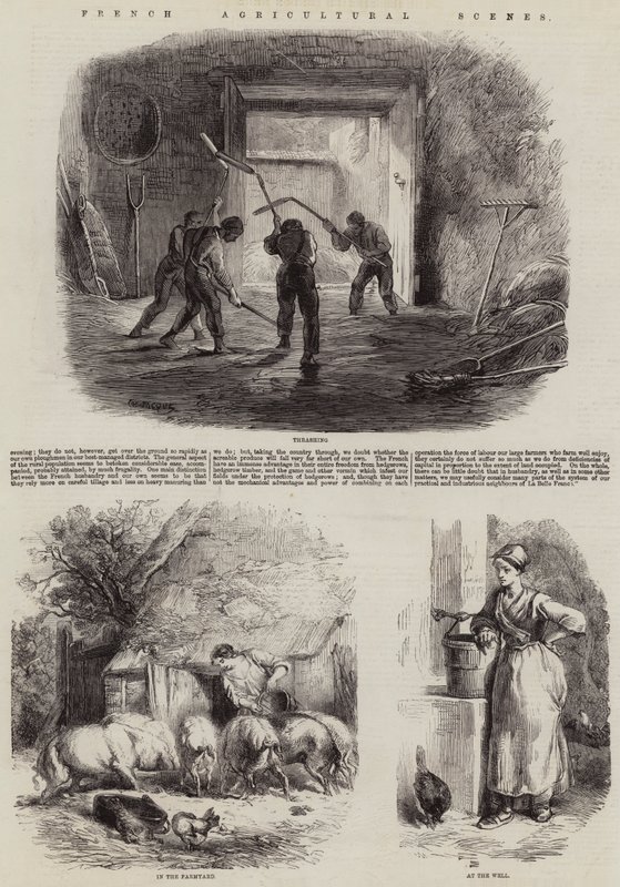Franske landbruksscener av Charles Emile Jacque