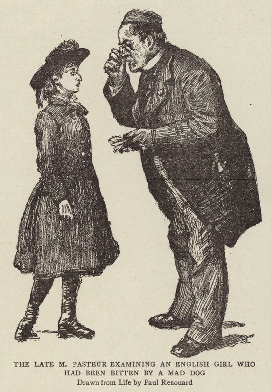 The Late M Pasteur undersøker en engelsk jente som hadde blitt bitt av en gal hund av Charles Paul Renouard