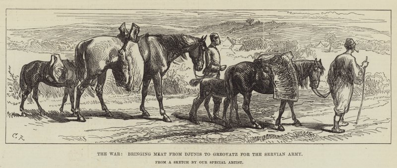 Krigen, som brakte kjøtt fra Djunis til Greovatz for den servianske hæren av Sir John Charles Robinson