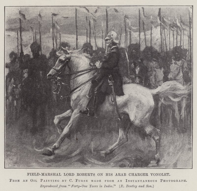 Feltmarskalk Lord Roberts på sin arabiske lader Vonolet av Charles Wellington Furse