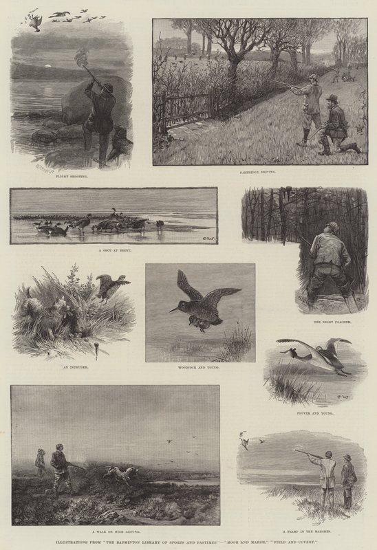 Illustrasjoner fra The Badminton Library of Sports and Pastimes, Moor and Marsh, Field and Covert av Charles Whymper