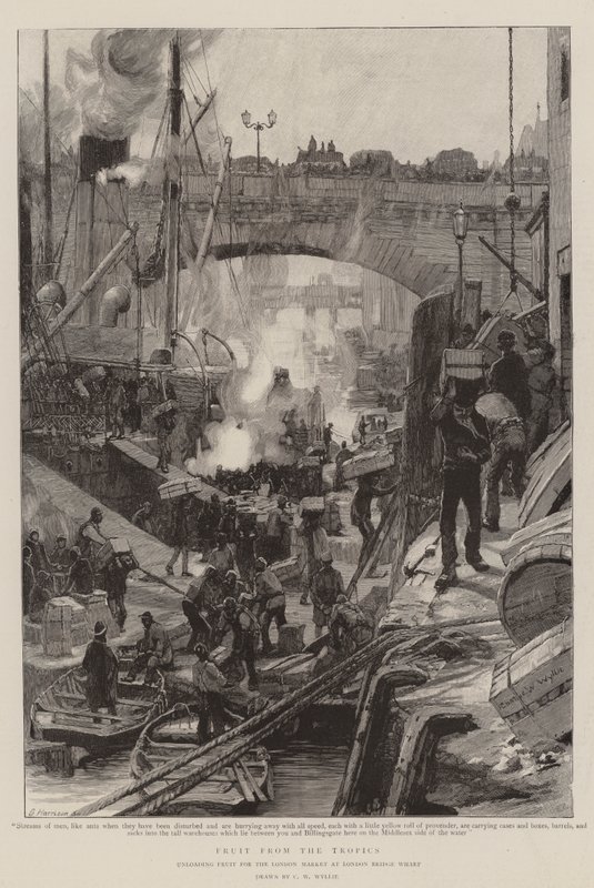 Frukt fra tropene av Charles William Wyllie