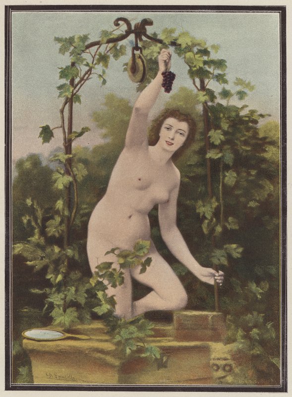 Kvinne plukker druer fra en vinranke (farge litho) av Charles (after) Landelle
