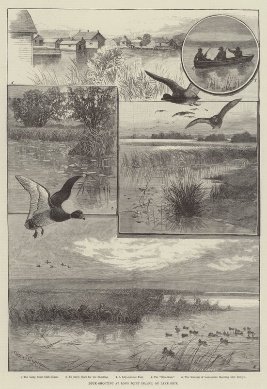 Andeskyting på Long Point Island, ved Lake Erie (gravering) av Charles (after) Whymper